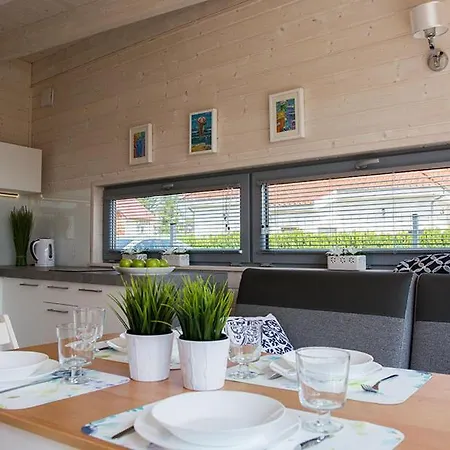 Lodz Wikingow רובי