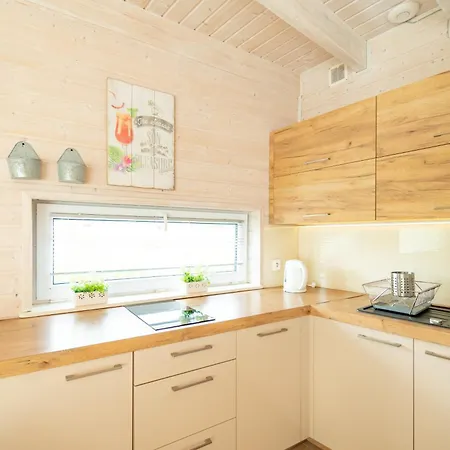 Apartment Lodz Wikingow