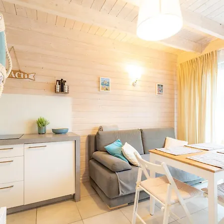 Lodz Wikingow * רובי